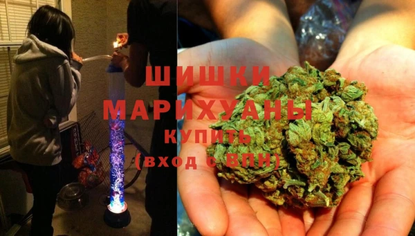 индика Фёдоровский