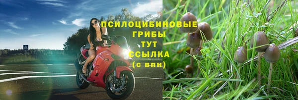 дживик Алзамай